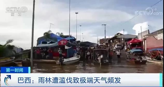 全球極端天氣頻發(fā)！“世界糧倉(cāng)”告急，美國(guó)糧食庫(kù)存減少！海平面持續(xù)上漲，多城將無(wú)路可退…