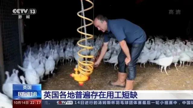 大量貨物堆積港口！這些地方，深陷供應(yīng)鏈危機(jī)！