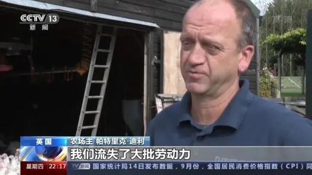 大量貨物堆積港口！這些地方，深陷供應(yīng)鏈危機(jī)！
