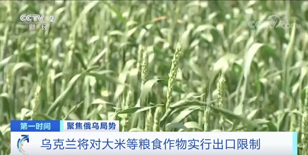 緊急！俄羅斯最大銀行又出事，一半的家庭儲蓄都存在這里！