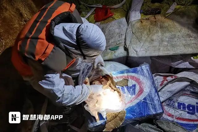 總案值約4000萬元！福建海警破獲1起特大走私凍品案