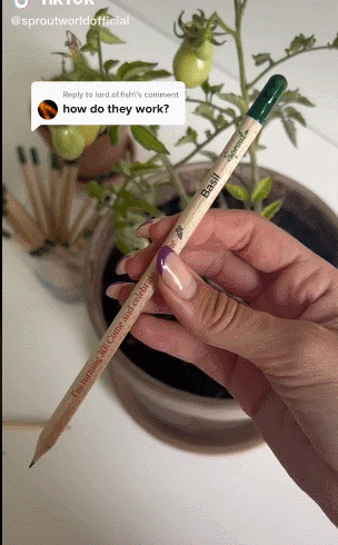 “種植鉛筆”在TikTok爆紅！品牌一個月吸粉10萬