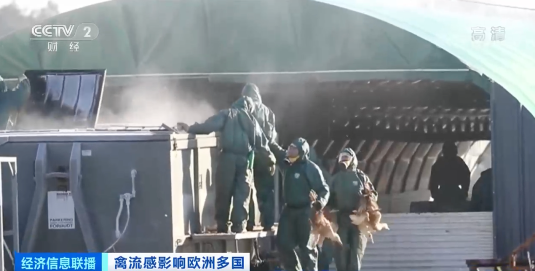 警報(bào)拉響！法國，荷蘭、西班牙、英國、日本......