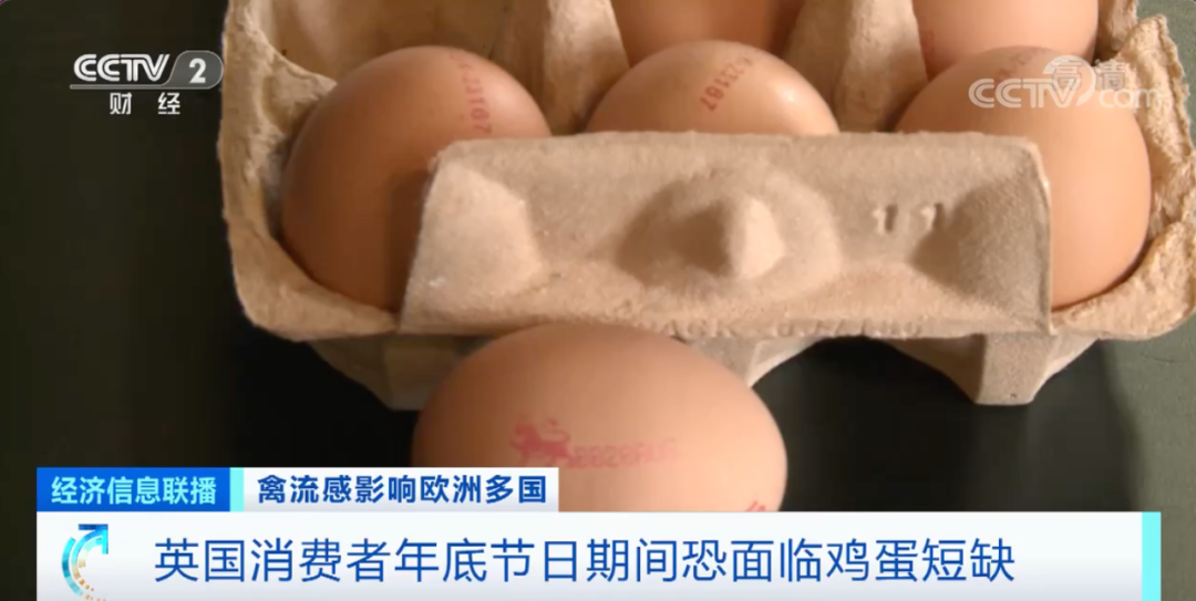 警報(bào)拉響！法國，荷蘭、西班牙、英國、日本......
