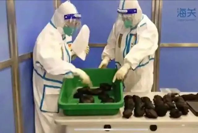 可怕！出貨的集裝箱運了一具女尸，從美國到中國......