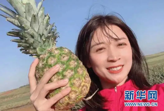 占臺灣出口總量97％！大陸緊急暫停進(jìn)口臺灣菠蘿，一菠蘿專列開通