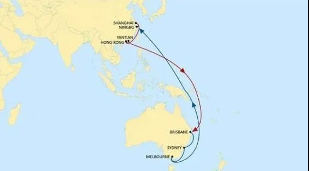 寧波上海香港鹽田直航澳洲，地中海航運(yùn)推出全新大洋洲航線